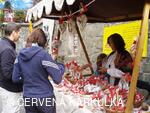 Království perníku 2009 - perníkářka Dana Holmanová